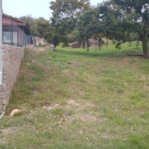 Lote de 1.100 m² no Horizonte Azul 2