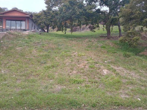 Lote de 1.100 m² no Horizonte Azul 2