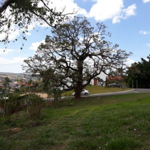Terreno à Venda Condomínio Outeiro da Flores - Itupeva